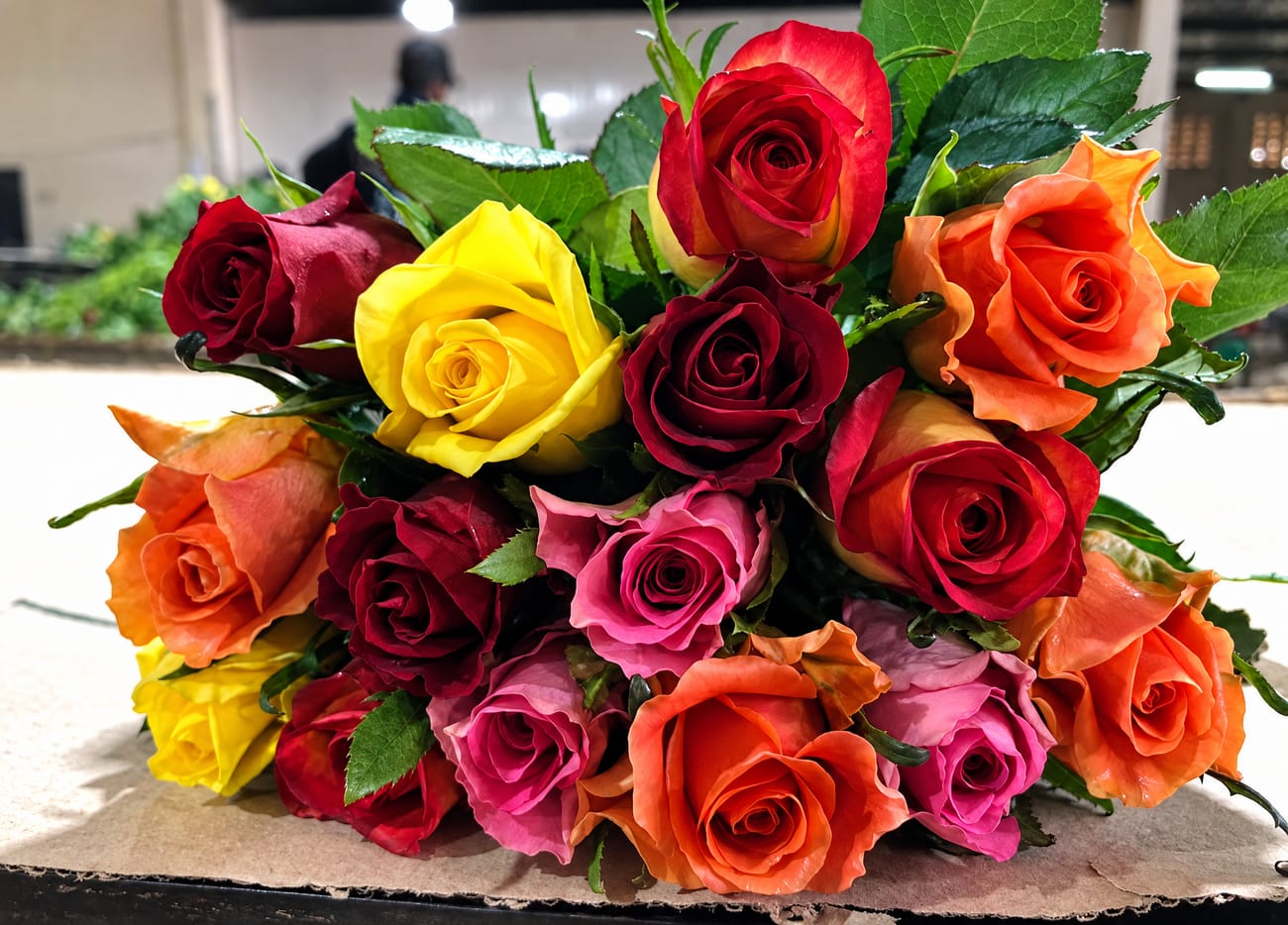 Roses